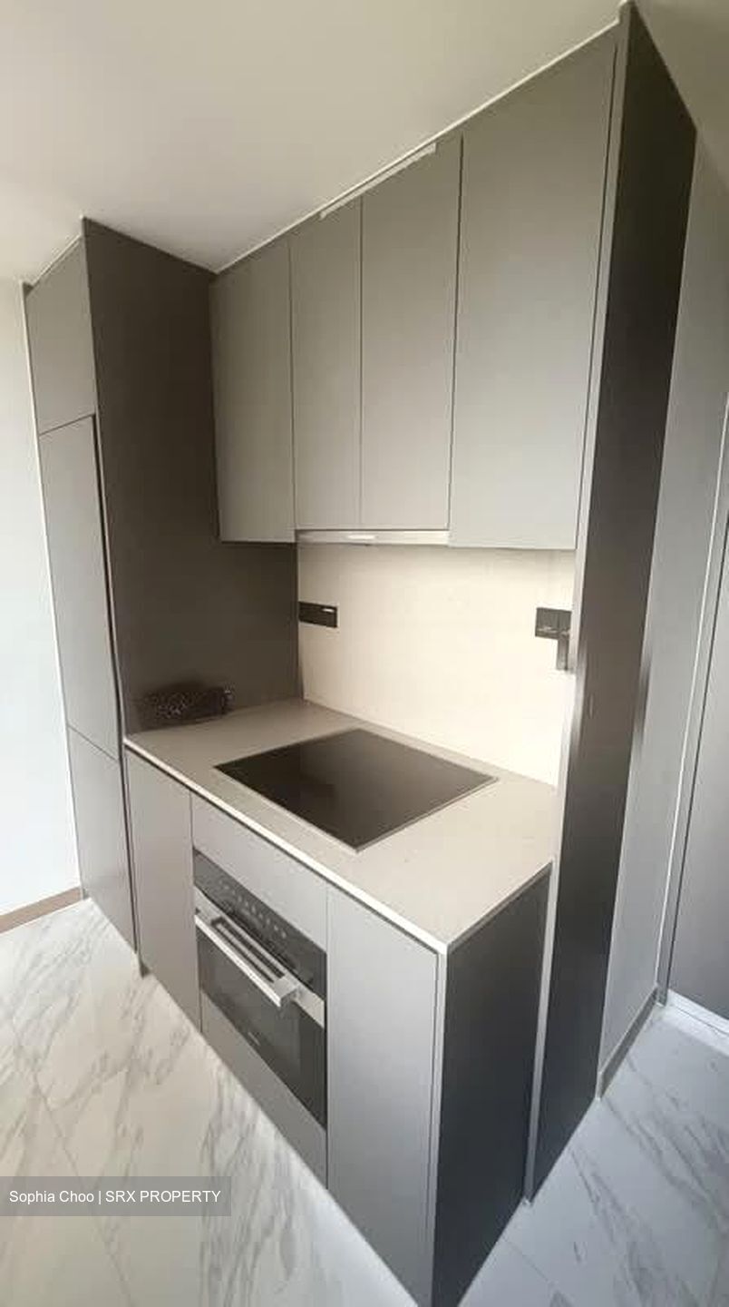 The Landmark (D3), Condominium #588643261